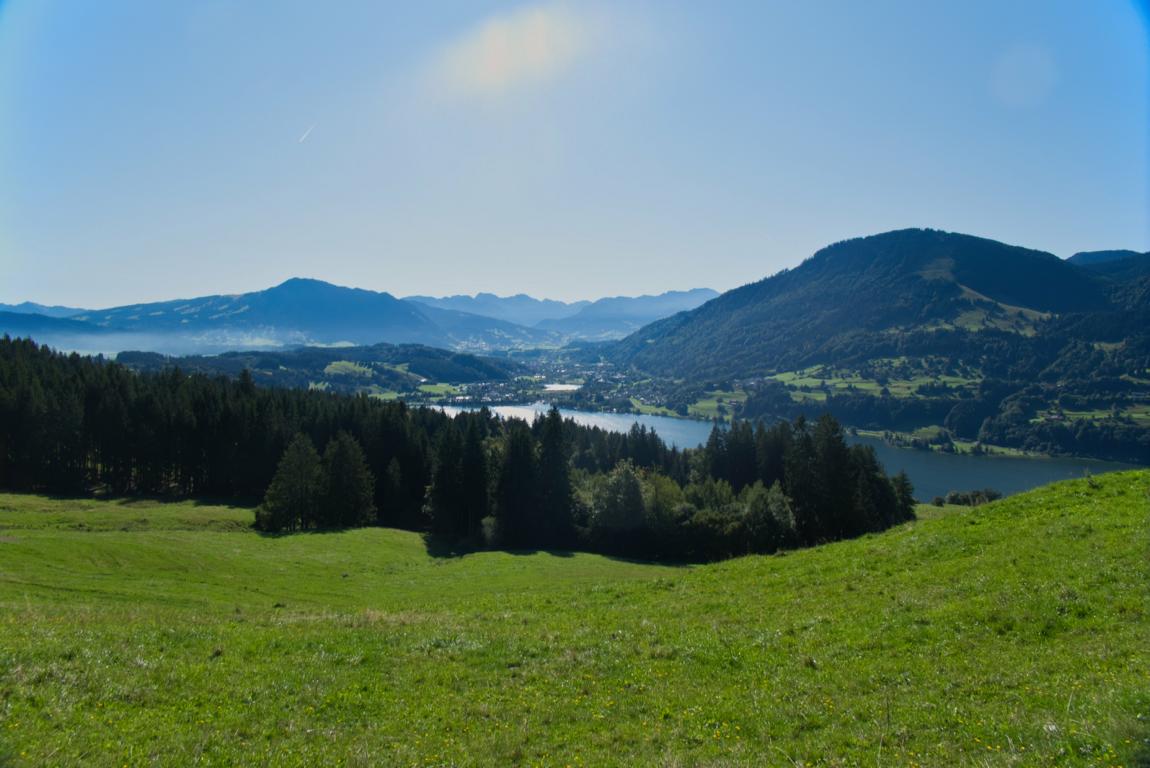 Großer Alpsee Aussicht während Gravelbike Tour im Allgäu